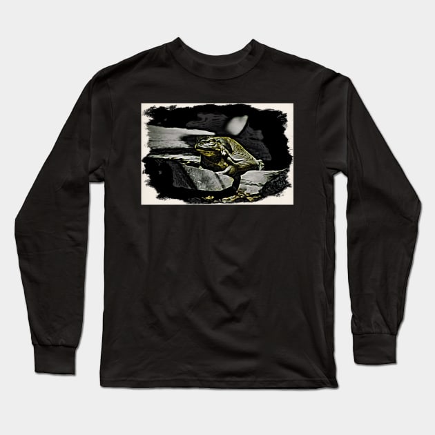 frog / Maléa is looking for the goblin - children's book WolfArt Long Sleeve T-Shirt by RaphaelWolf